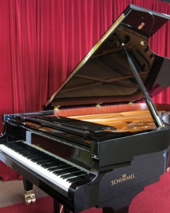 Forte Pianos NJ